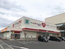 くすりのレディ丸亀土器店まで600m エルディム　フジ　Ｂ