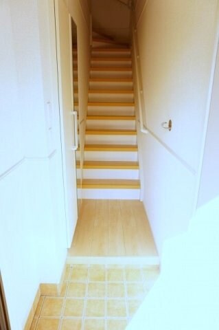  マウントビューオリーブ