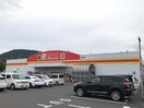 ダイレックス丸亀店まで450m エルディム中西