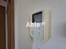  ヴィドゥ　カンパーニュ