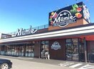 四季食彩館ムーミー 林店(スーパー)まで1613m モダンコートＪ