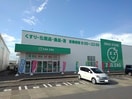 ザグザグ丸亀バサラ店まで2000m メゾン・ルミエール　Ｂ