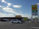 新鮮市場きむら丸亀三条店まで550m ひまわり　Ｂ