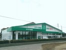 ザグザグ松縄店(ドラッグストア)まで427m サンライフ川西
