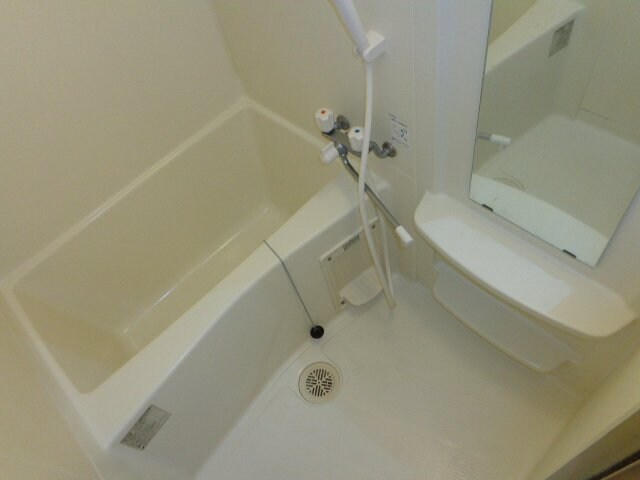 バス（イメージ） ピーチヒルズ