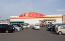 ダイレックス 高松店(ディスカウントショップ)まで1252m 中山マンション