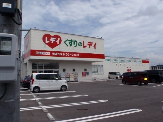 くすりのレディ善通寺店まで1000m ヌーベル稲木　Ａ