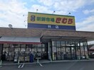  レオパレスラ　スリーズ