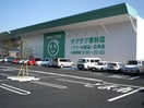 ザグザグ栗林店(ドラッグストア)まで613m レオパレスエトワール　栗林