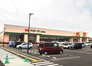 ハローズ 多肥店(スーパー)まで2587m クリスタル　Ｄ