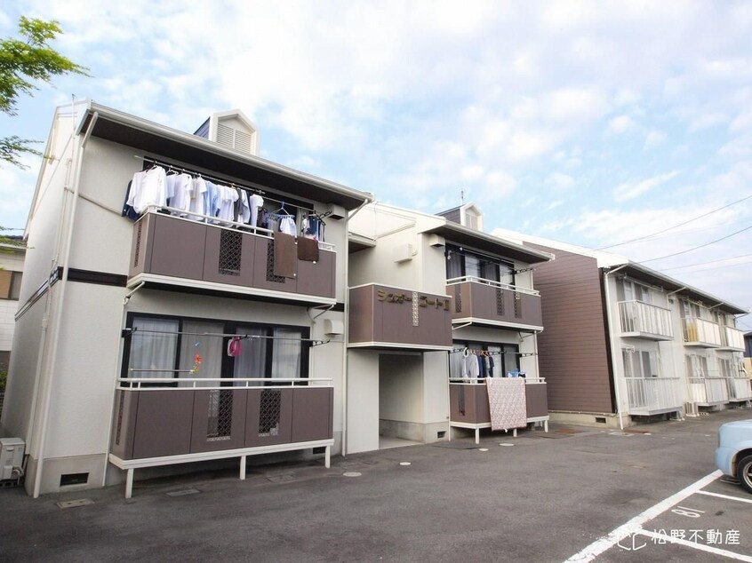  シュガー・コート