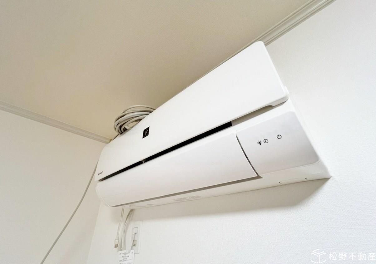  シュガー・コート