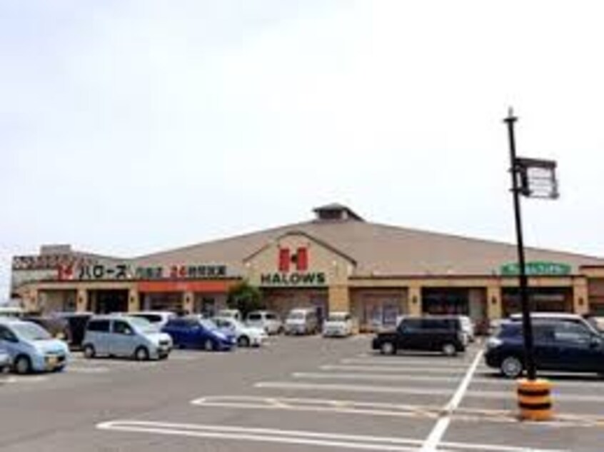 ハローズ 円座店(スーパー)まで870m ロータスⅡ　B棟