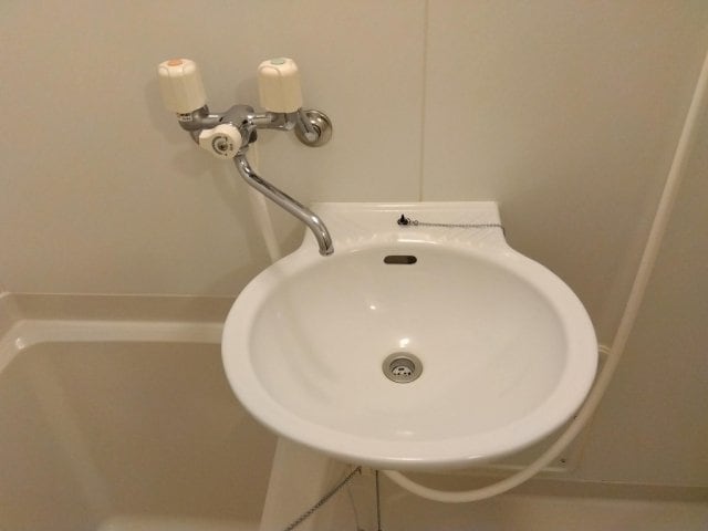  レオパレス花