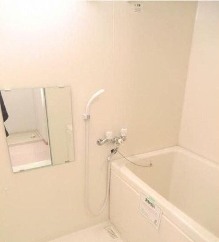  ロイヤルピジョン