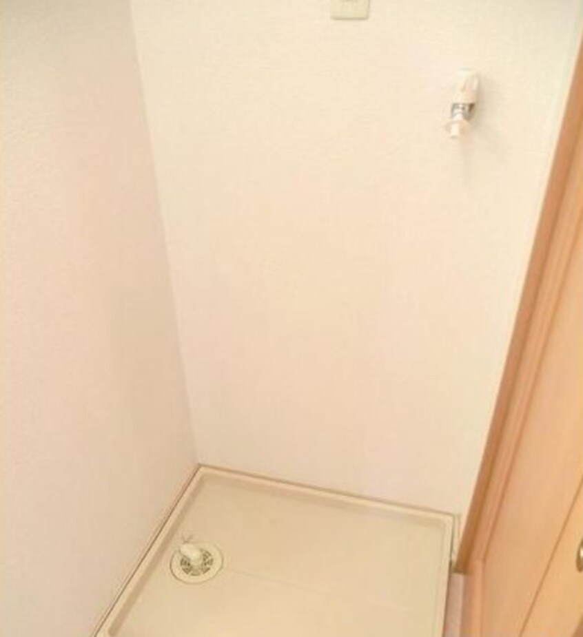  ロイヤルピジョン