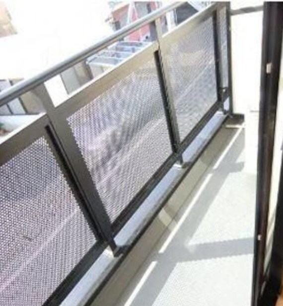  ロイヤルピジョン