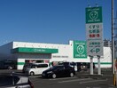  レオパレス花