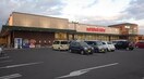 マルヨシセンター 木太店(スーパー)まで1728m レオパレスベトレーテンナーベ