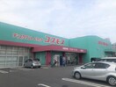  レオパレス華