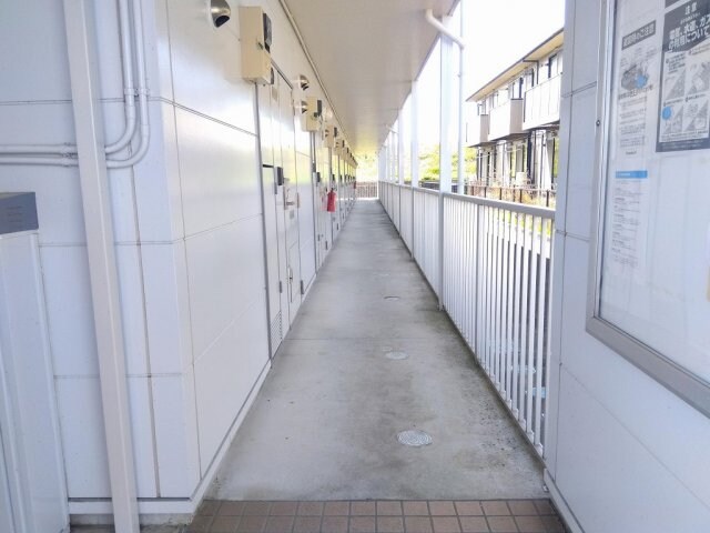  レオパレス華