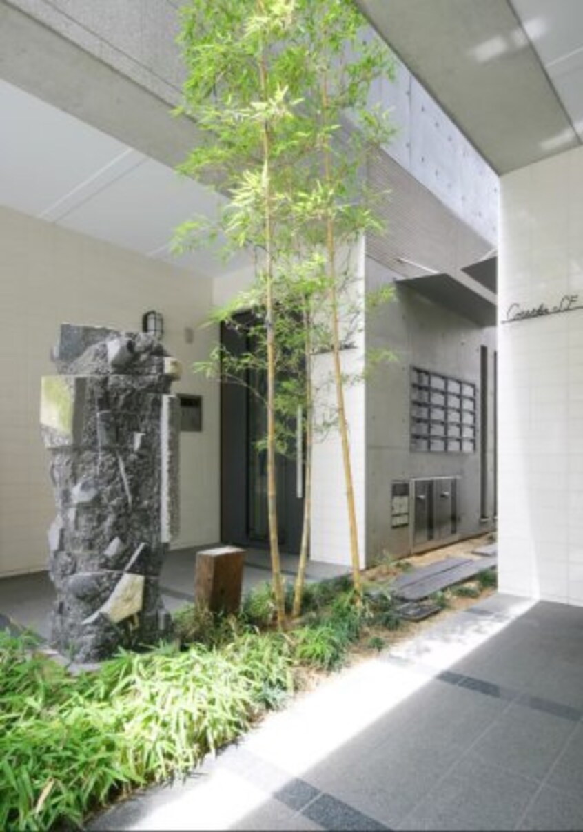  コリドールエスエフ