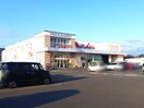 マルナカ新田店(スーパー)まで903m カーサ仏生山Ⅶ