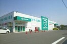 ZAG ZAG檀紙北店さんまで960m ソレイユＫＡＷＡＢＡＴＡ