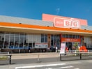 ザ・ビッグ 丸亀城南店(スーパー)まで564m パティオⅢ