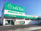 ザグザグ国分寺店(ドラッグストア)まで386m パインズコート新居　E棟