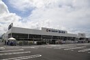 ホームセンターコーナン多肥店(電気量販店/ホームセンター)まで1038m ルネコート太田