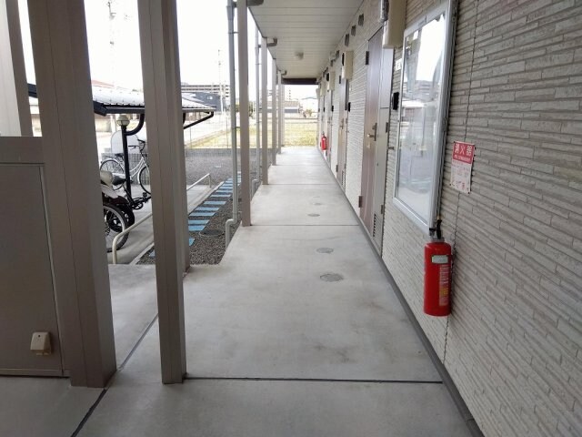  クレイノリアン