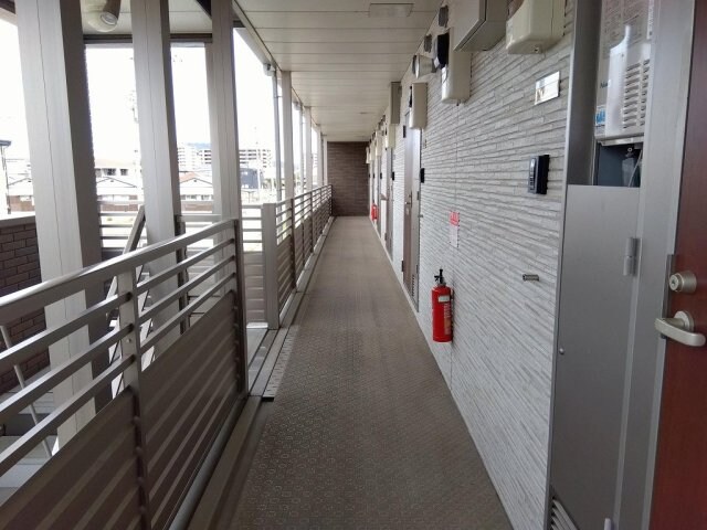  クレイノリアン