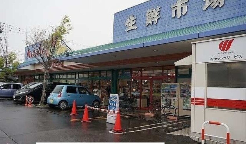 マルナカ檀紙店さんまで1400m ニューマリッチミマヤ