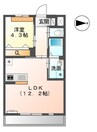 セレーノⅡ 1LDKの間取り