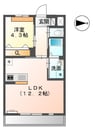 セレーノⅡ 1LDKの間取り