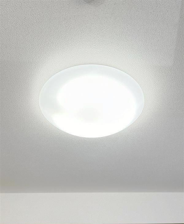  イノセントスクエア