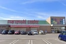 マルヨシセンター 松縄店(スーパー)まで432m サンフラワー今里