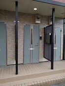  グレイスフルＢ