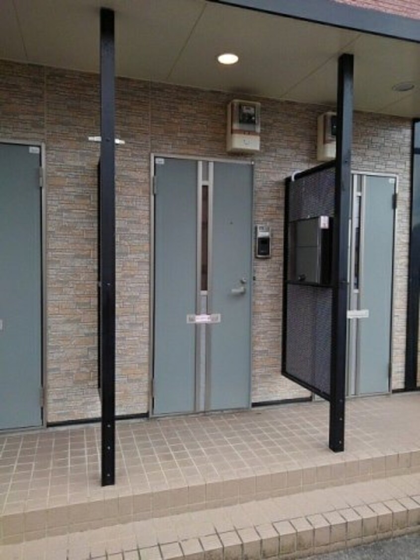  グレイスフルＢ