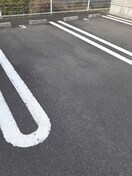  メデューセ　Ｍ