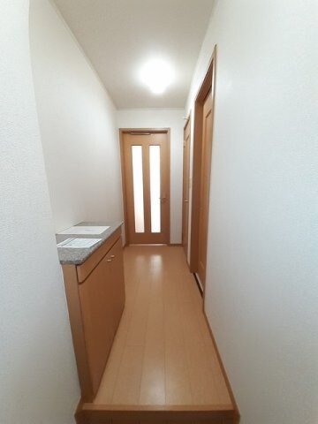  メデューセ　Ｍ