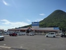 ＤＣＭダイキ飯山店まで2400m メゾン　アクティブ　Ｂ
