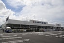 コーナン多肥店(電気量販店/ホームセンター)まで1682m アンダンテ　イースト　Ａ