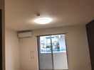 照明 グリーンパーク