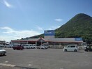 ＤＣＭダイキ飯山店まで1900m エルデイム西本Ａ