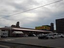 新鮮市場きむら宇多津店まで1900m オーヴ　Ｄｏｋｉ　Ａ