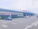 コーナン 上天神中央通店(電気量販店/ホームセンター)まで797m レオパレスルース