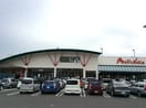 マルナカ 仏生山店(スーパー)まで1278m クリスタル　Ｂ