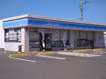 ローソン 丸亀土器町東九丁目店(コンビニ)まで822m コーヨーハイツⅡ　A棟